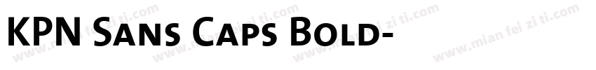 KPN Sans Caps Bold字体转换